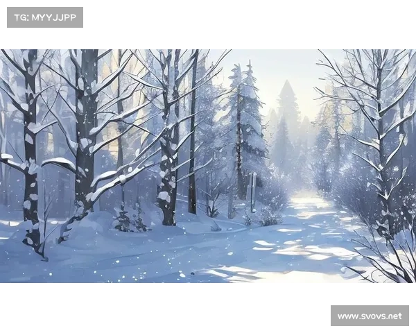 冬日湖畔的静谧与诗意探寻踏雪寻梦的宁静旅程 冬日湖畔的静谧与诗意探寻踏雪寻梦的宁静旅程